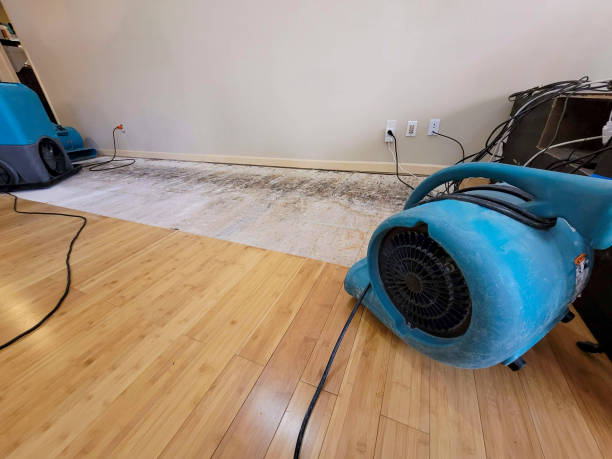 Professional Water Damage Repair technician working in East Lynne, MO